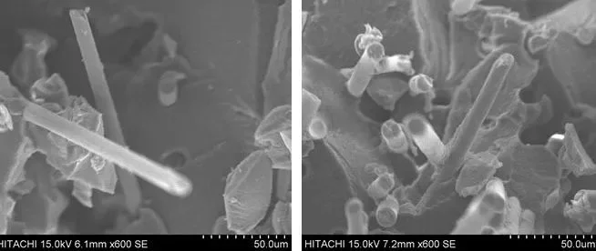 POE-g-MAH對玻纖增強高溫尼龍的增韌機理